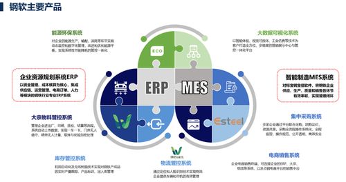 上海軟件開發 機遇、挑戰與未來展望
